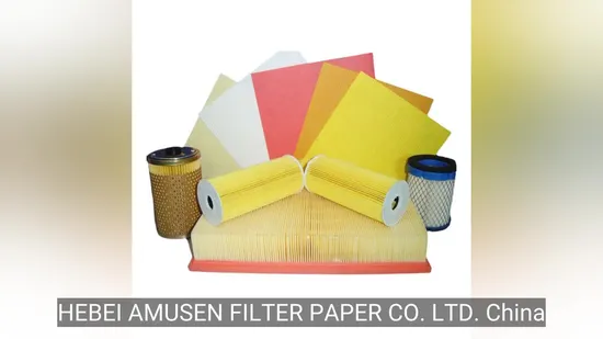 China Wood Pulp Heavy Duty Auto/Automotive Oil Air Filter Paper